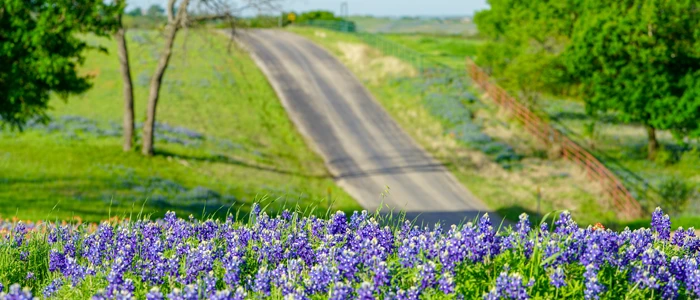 Wells Spine & Sport in Nolanville TX